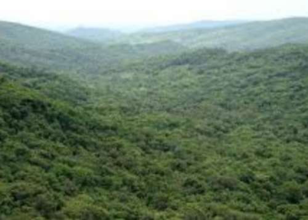 El Gobierno aclar� la situaci�n sobre la finca El Cuchuy