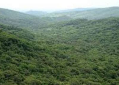 El Gobierno aclar� la situaci�n sobre la finca El Cuchuy
