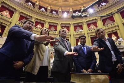 Bali Bucca ya es diputado nacional
