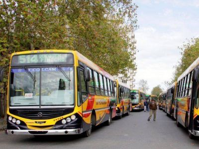 A partir de este viernes, se modifica el cuadro tarifario del transporte p�blico