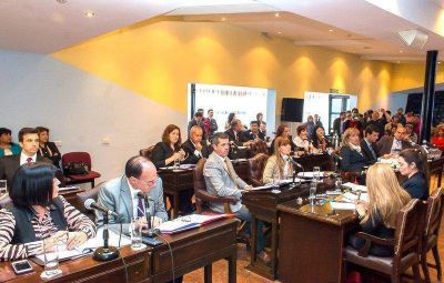Bertone y otro paquete de leyes con reforma jubilatoria a la baja