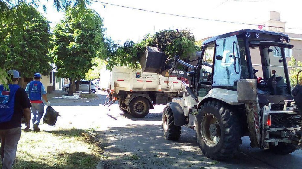 Siguen las tareas de despeje lum�nico en todos los barrios