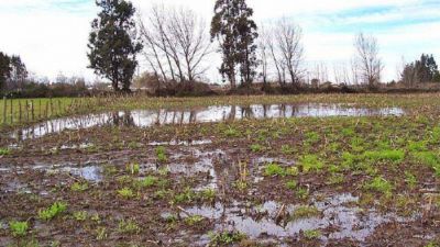 El campo pierde u$s30 millones de ingresos anuales por el impacto de las lluvias en los suelos