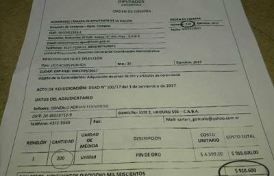 Diputados gast� casi un mill�n de pesos en 200 pines de oro