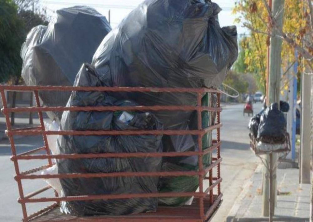 Decenas de barrios en Mar del Plata siguen con la basura en la calle