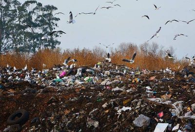 Basurales: en Azul llevan adelante la obra de saneamiento, cierre t�cnico y clausura del predio