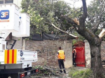 El equipo de Tres de Febrero trabaja sobre las consecuencias del temporal