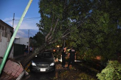 El Gobierno trabaja para asistir a los vecinos afectados por el temporal
