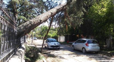 El Ersep analiza si corresponde sancionar a Epec