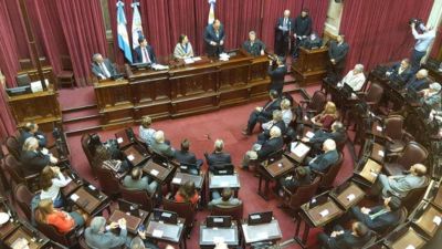 El Senado controlar� el presentismo y que sus empleados trabajen ocho horas diarias