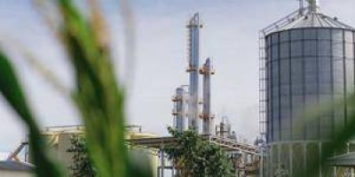 Las Lomitas: har�n una central generadora de energ�a el�ctrica a trav�s de la madera