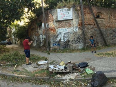 Un basural en plena calle provoca la invasi�n de ratas