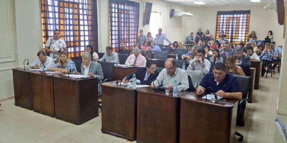 El Concejo convalid� convenios y la creaci�n de delegaciones