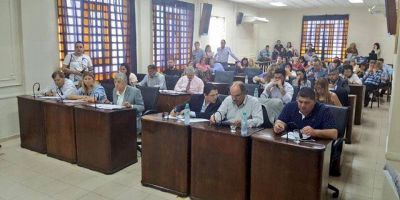 El Concejo convalid� convenios y la creaci�n de delegaciones