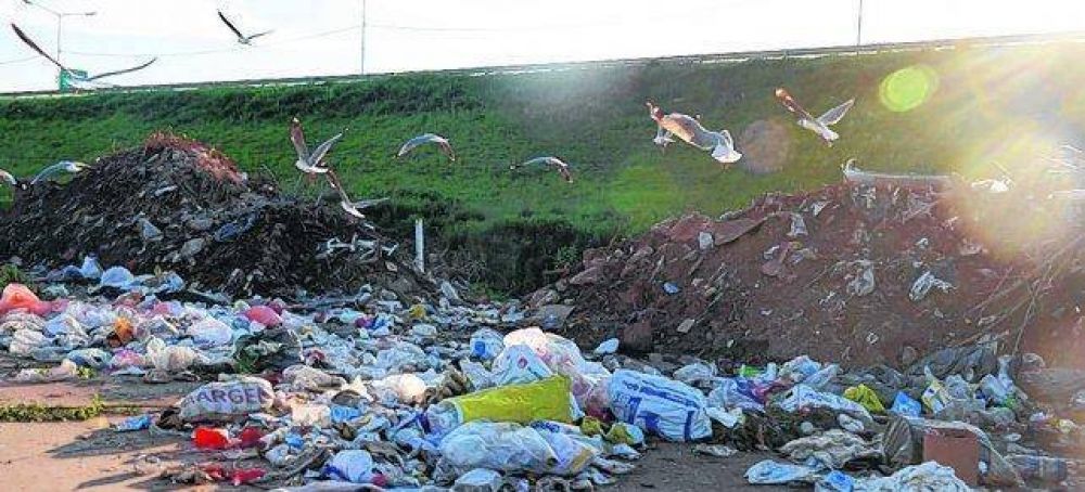 Licitan el traslado y entierro de las 850 toneladas diarias de basura de Rosario