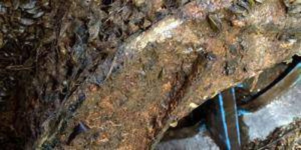 Clorinda estuvo sin agua potable por problemas en la toma de agua de Pilcomayo