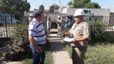 Salud recuerda la importancia de reforzar el cuidado frente al Dengue, Zika y Chikungunya