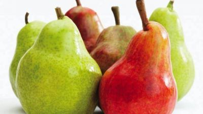 La brecha de precios de los productos agropecuarios baj� a 4,29 veces