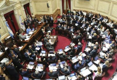 El Senado convirti� en ley el paquete de reformas econ�micas del Gobierno