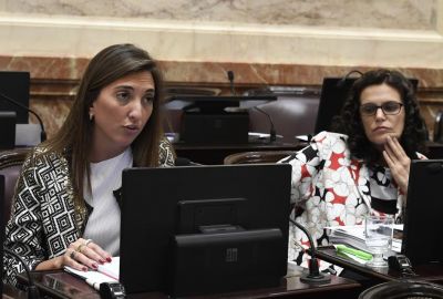 Catalfamo: �De federal este Presupuesto no tiene absolutamente nada�