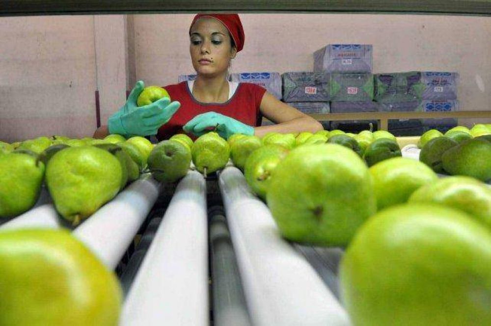 Productores frut�colas dicen que no hay a qui�n venderle