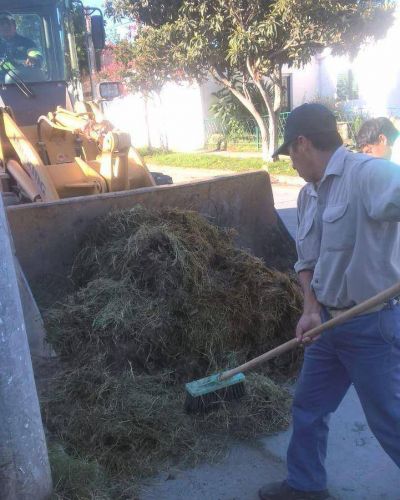Cinco recolectores de residuos para 71 barrios, la situaci�n genera tensi�n