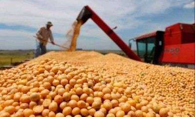 Si el clima acompa�a, el ingreso por divisas de las exportaciones agr�colas de 2018 ser� similar a 2017