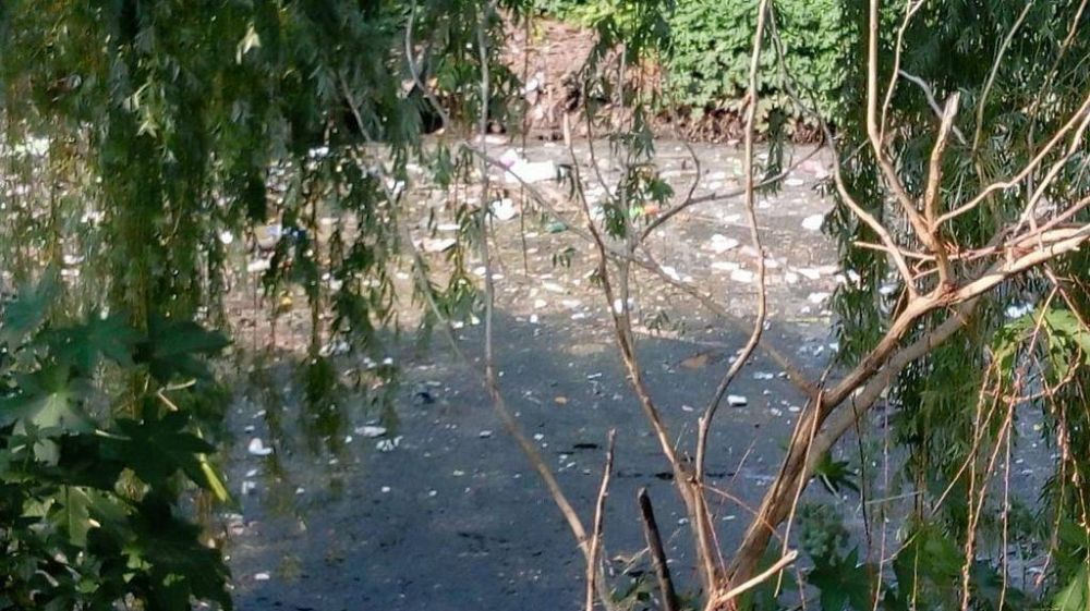 Un tramo del arroyo Prez, degradado por la contaminacin