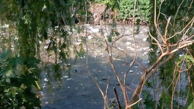 Un tramo del arroyo P�rez, degradado por la contaminaci�n