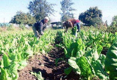 PRECIO DEL TABACO: ADVIERTEN QUE SER� IMPOSIBLE COMENZAR A NEGOCIAR ANTES DE FEBRERO