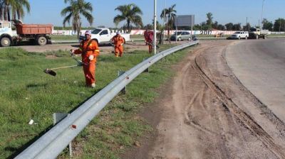 Realizaron un importante operativo de limpieza en la zona sur de la ciudad