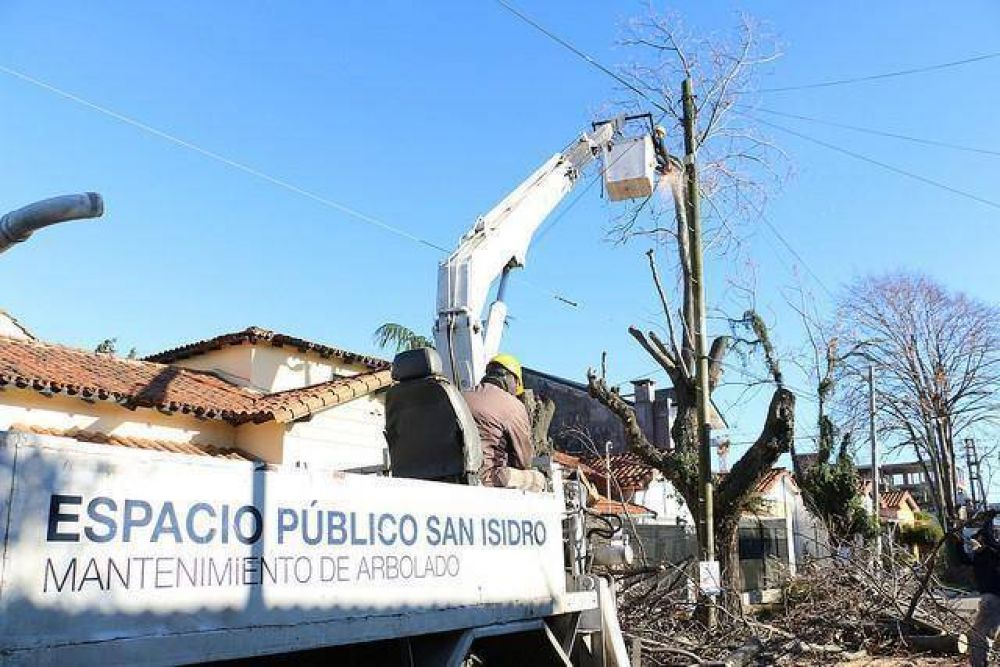 San Isidro: con poda sustentable reutilizaron ramas de 40 mil rboles