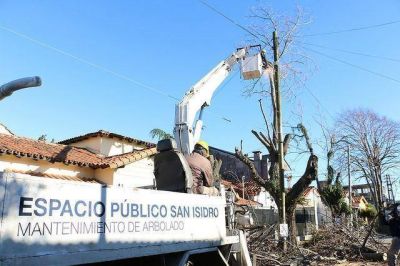 San Isidro: con poda sustentable reutilizaron ramas de 40 mil �rboles