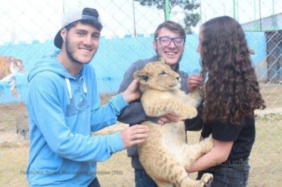 J�venes de la comunidad jud�a apoyan el rescate de los animales y la preservaci�n de las especies