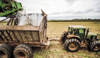 Las econom�as regionales, ante una realidad complicada
