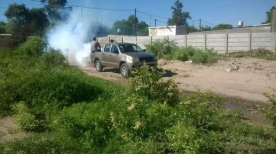 Nuevos operativos de fumigaci�n se llevan a cabo en la ciudad
