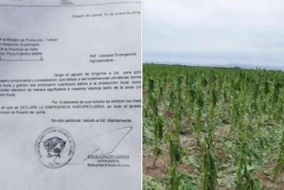 Jarsn pidi que se declare la emergencia agropecuaria en el Valle de Lerma