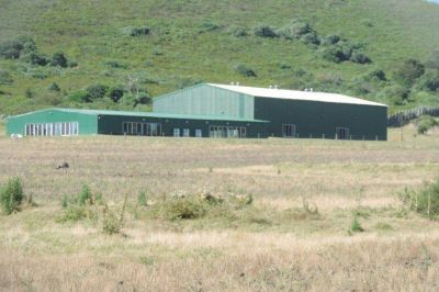Caso Balcedo: allanan cuatro cajas de seguridad del Soeme pero estaban vac�as