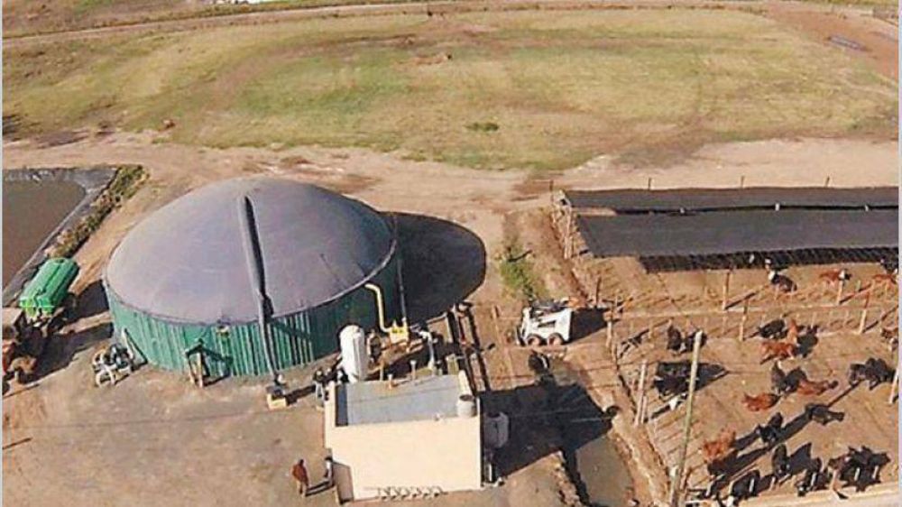 Invierten u$s 13 millones en una planta para producir biogás en Pergamino