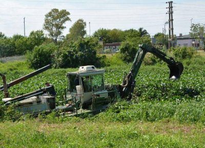 Con una draga anfibia se realiza la limpieza del canal de Avenida G�nova
