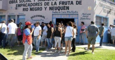 Un conflicto salarial podría paralizar la cosecha en Río Negro