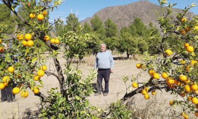 Naranjas dulces para un Luj�n que quiere renacer