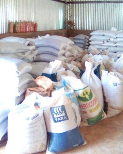 PRODUCTORES MISIONEROS DE SEMILLAS RECLAMAN MILLONARIA DEUDA A ASUNTOS AGRARIOS