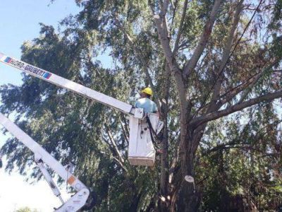 El Municipio despeja m�s luces y c�maras para reforzar la seguridad