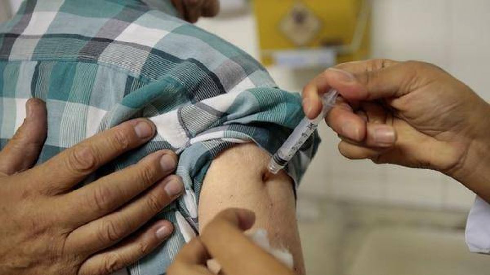 Ya son 15 las muertes por fiebre amarilla en Minas Gerais, el estado brasileo ms afectado por la enfermedad