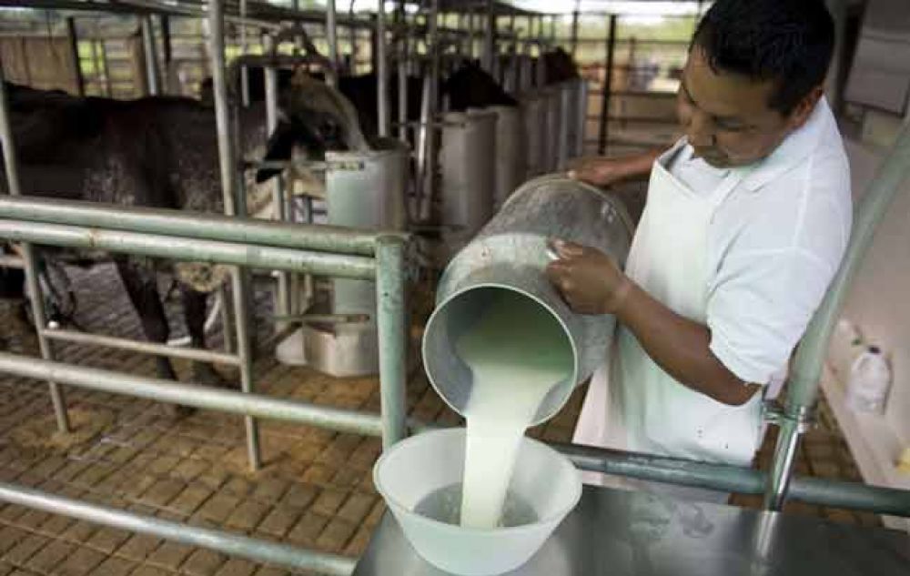 Peligran puestos de trabajo en la empresa láctea La Suipachense