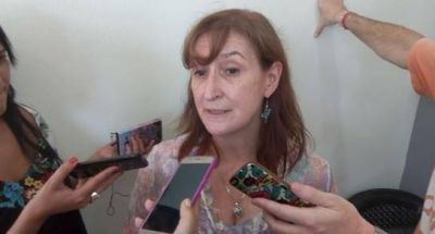 Desde Provincia brindan informaci�n sobre la fiebre amarilla