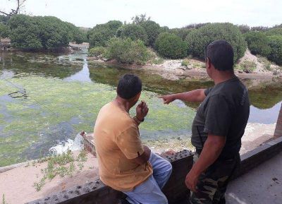 Reparaciones y puesta en valor del Lago de los Cisnes