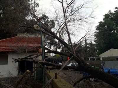 La lluvia inund� Monte Hermoso y el viento caus� ca�da de �rboles