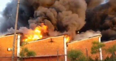 Cierre y 80 despidos en la f�brica de lanchas Marine Sur